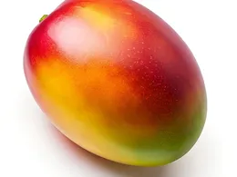 Nalewka z mango – Smak Tropików